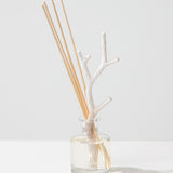 Sequoia Holz, 50 ml