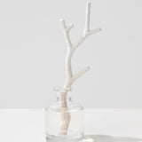 Ewiges Sandelholz, 50 ml