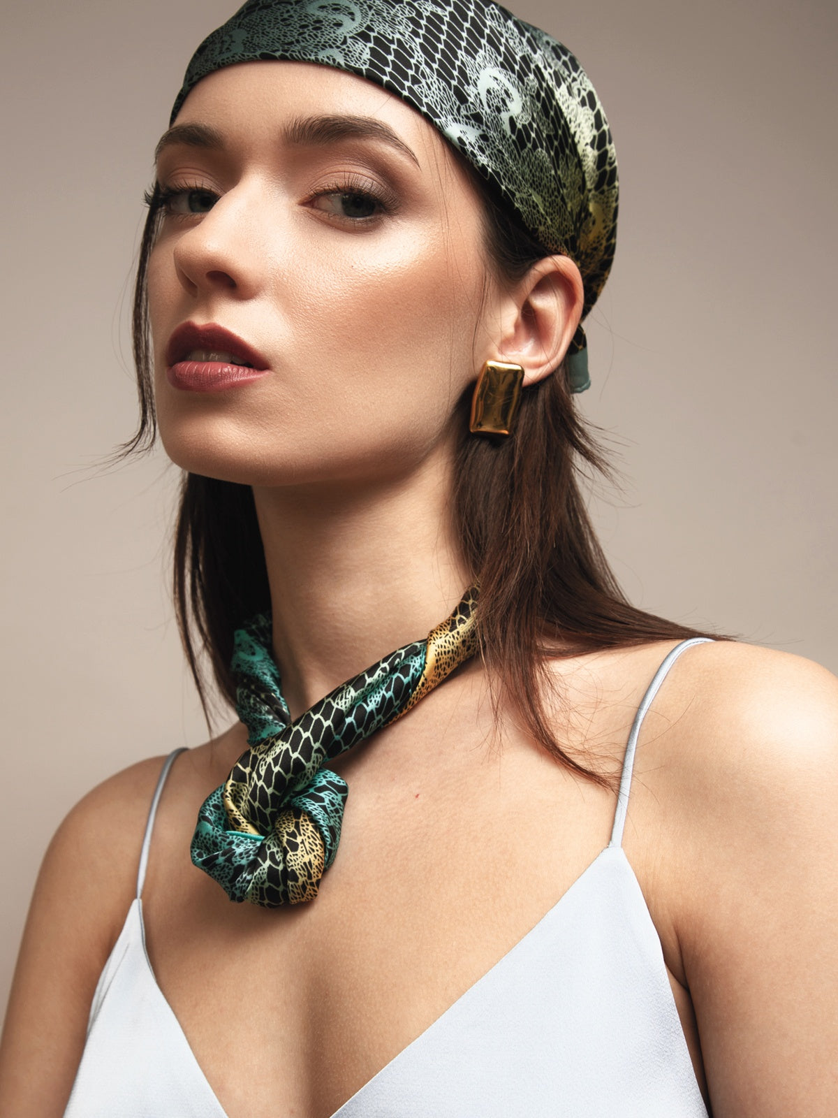 Diabild